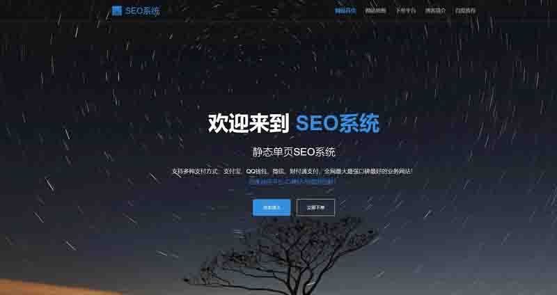 SEO站群系统免授权版，单页关键词排名网站源码
