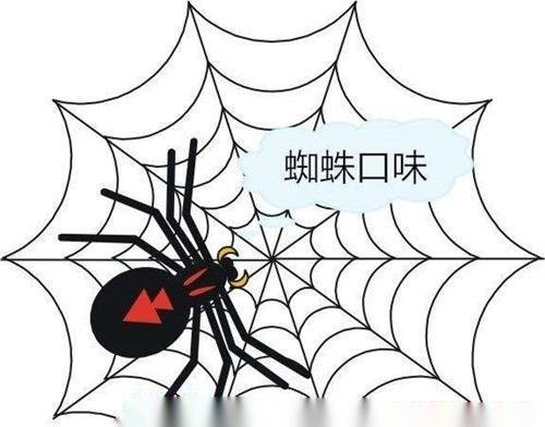 做网站seo优化如何吸引百度蜘蛛频繁抓取网站呢？