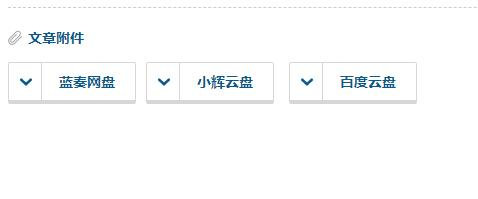 美化下载代码按钮源码
